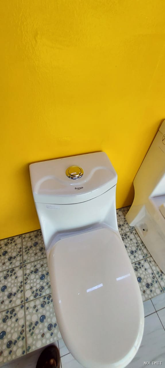 WC Monobloc "Francia Premium" – Design Galbé & Économie d'Eau