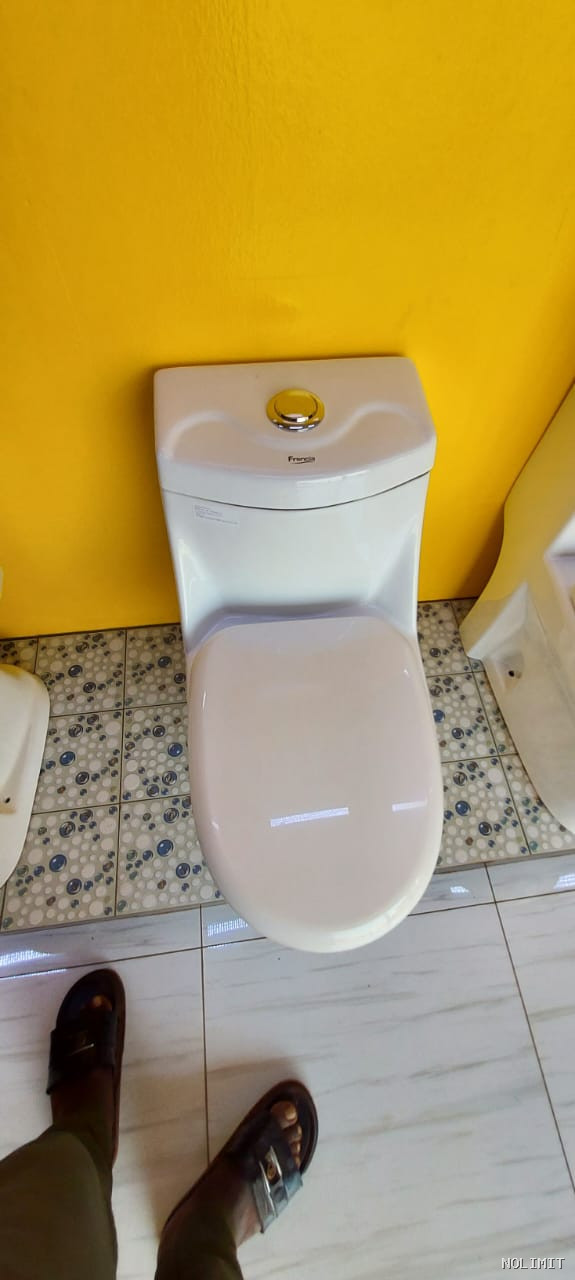 WC Monobloc "Francia Premium" – Design Galbé & Économie d'Eau